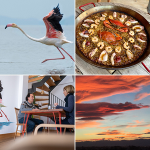 A gift they'll remember: an escape to the Ebro Delta